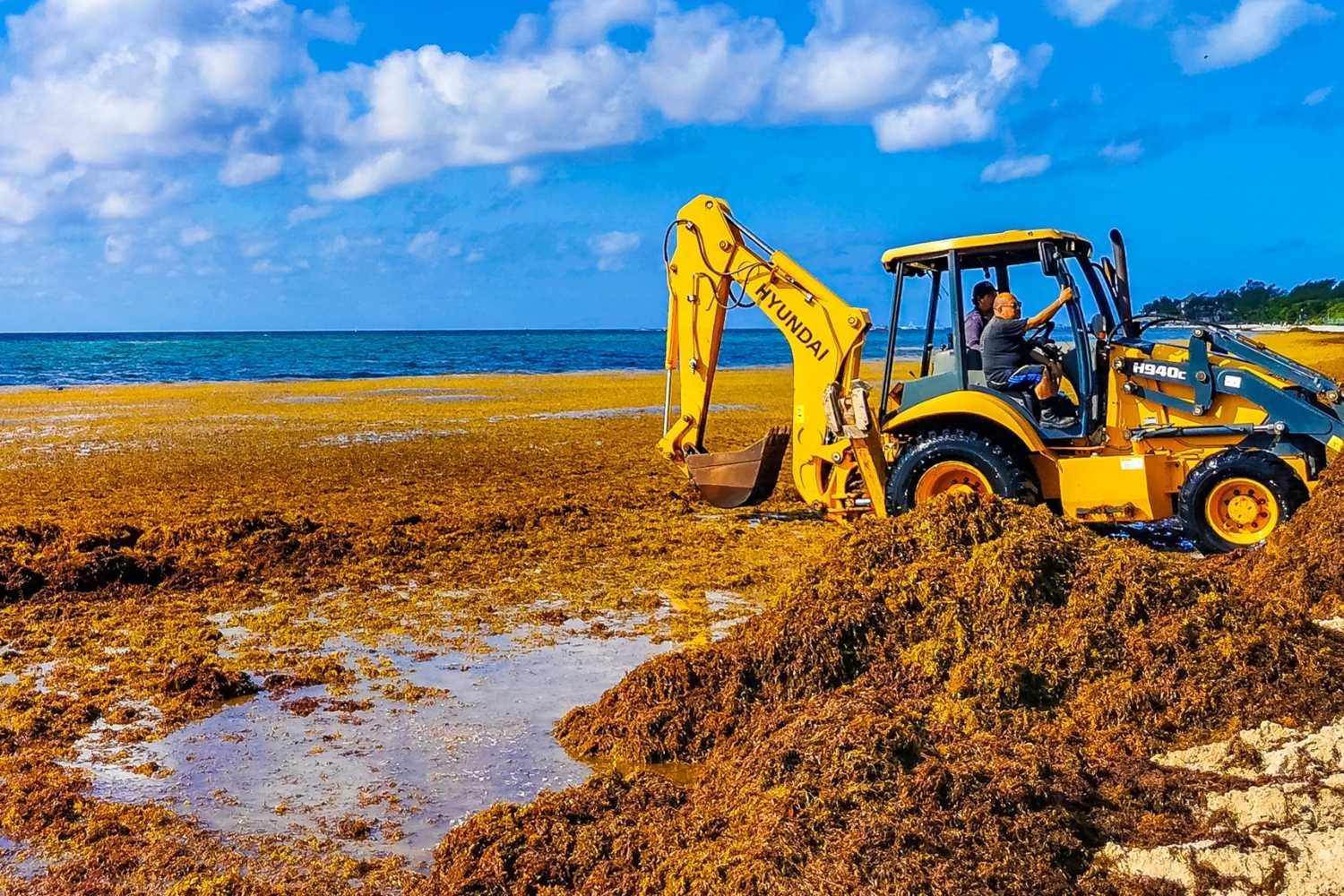 Temel kazısı hizmeti